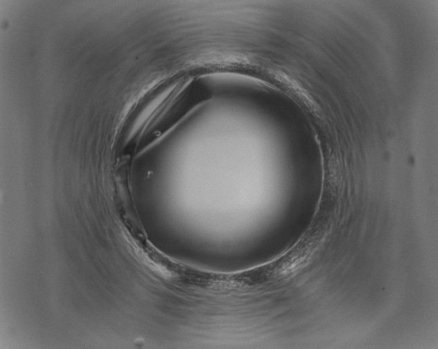 X0000073720399200608241237