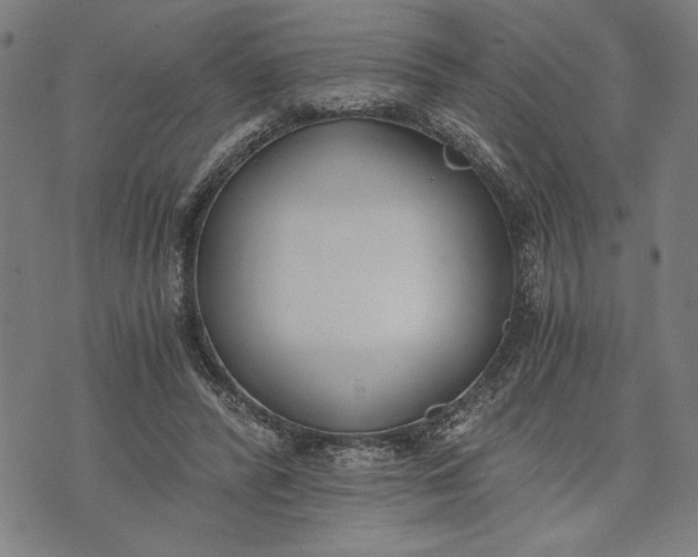 X0000073720400200608241237