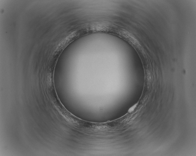 X0000073720401200608241237