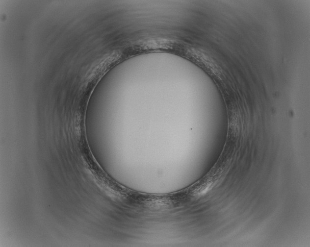 X0000073720402200608241237