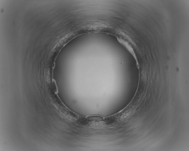 X0000073720403200608241237