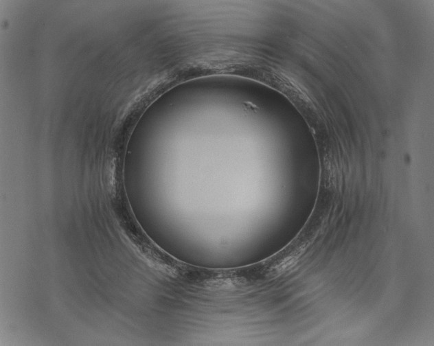 X0000073720404200608241237