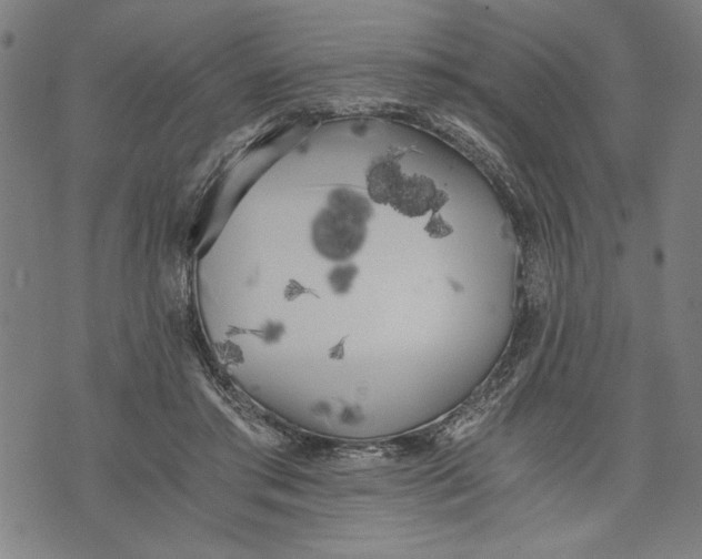 X0000073720405200608241237