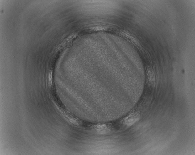 X0000073720406200608241237