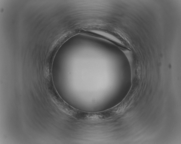 X0000073720407200608241237