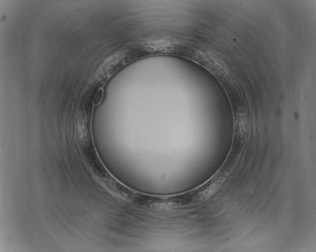 X0000073720408200608241237