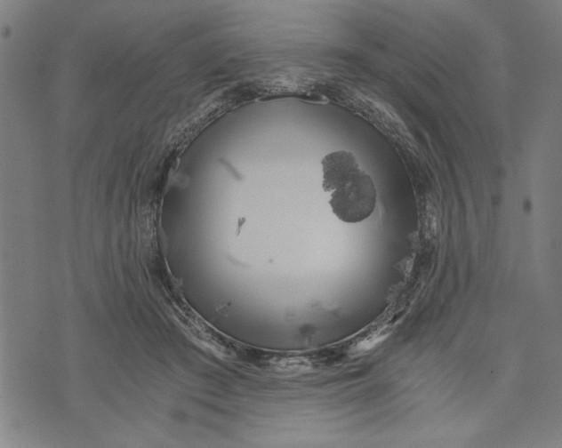 X0000073720409200608241237