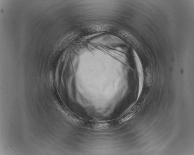 X0000073720410200608241237