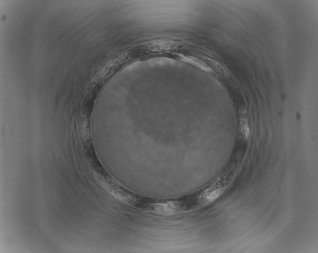 X0000073720411200608241237