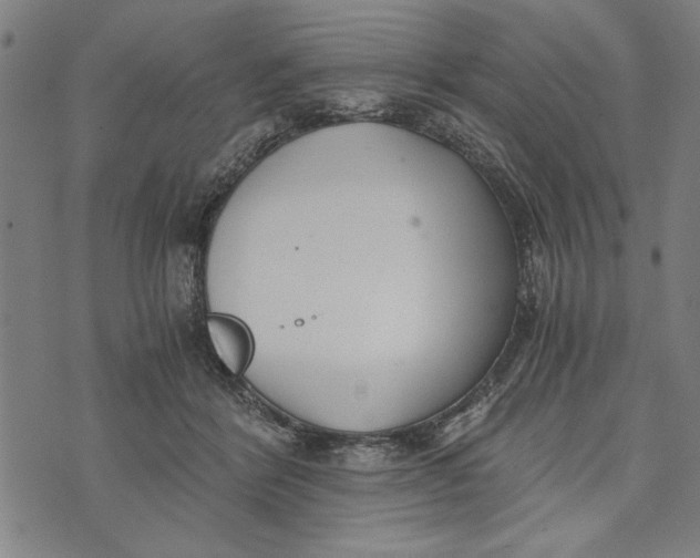 X0000073720412200608241237