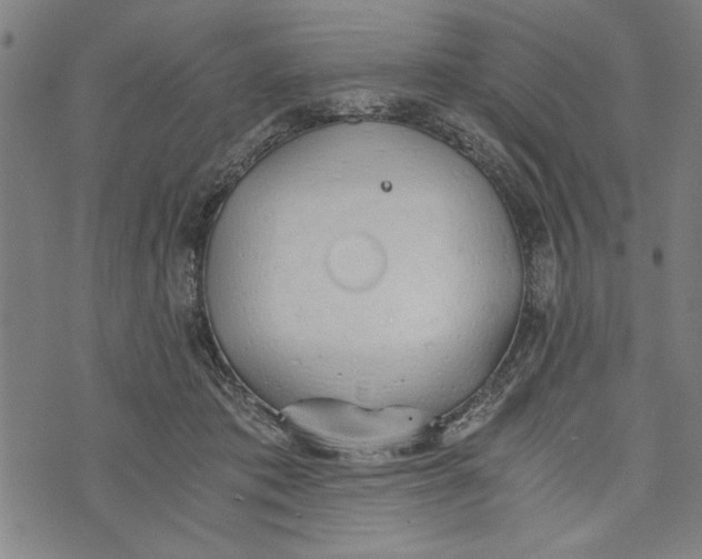 X0000073720413200608241237