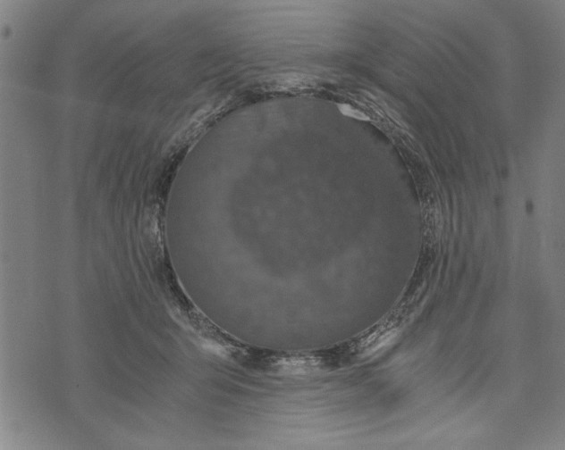 X0000073720415200608241237