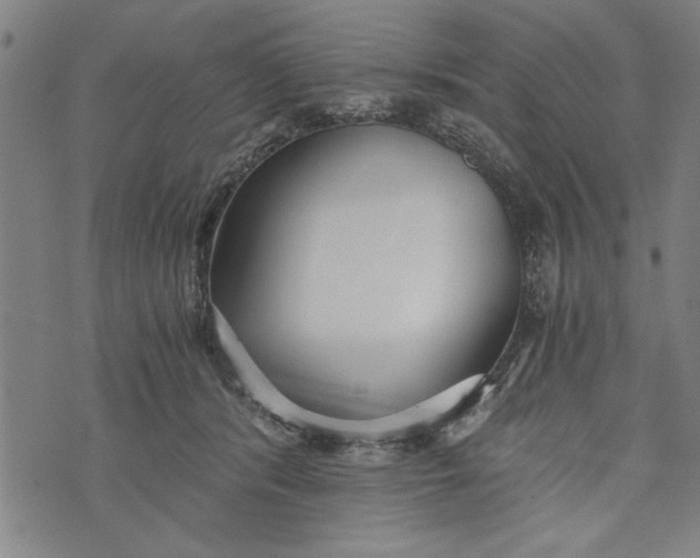 X0000073720416200608241237