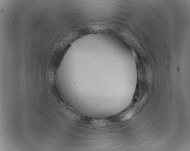 X0000073720417200608241237