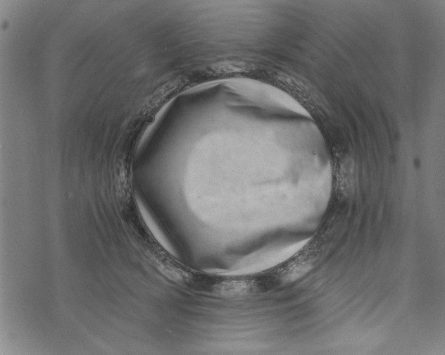 X0000073720418200608241237