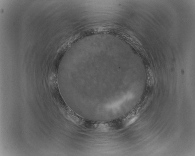 X0000073720419200608241237