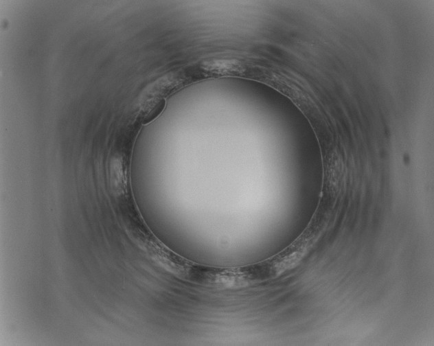 X0000073720420200608241237