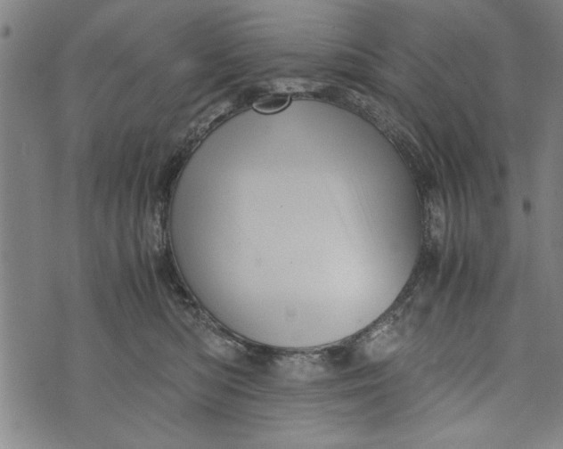 X0000073720422200608241237