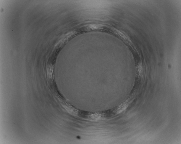 X0000073720423200608241237