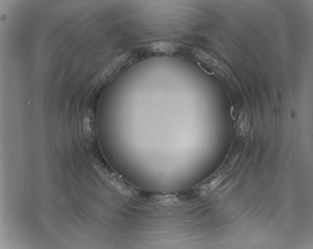 X0000073720424200608241237