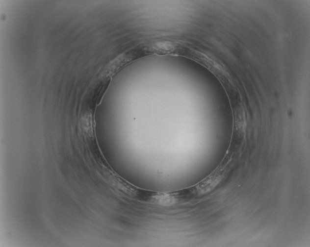 X0000073720425200608241237