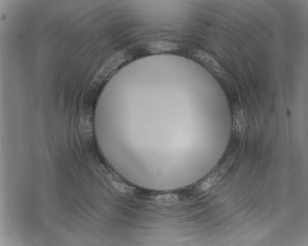 X0000073720426200608241236