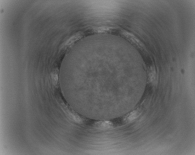 X0000073720427200608241236