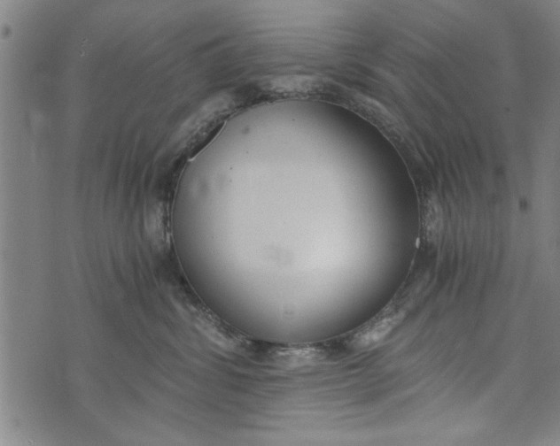 X0000073720428200608241236