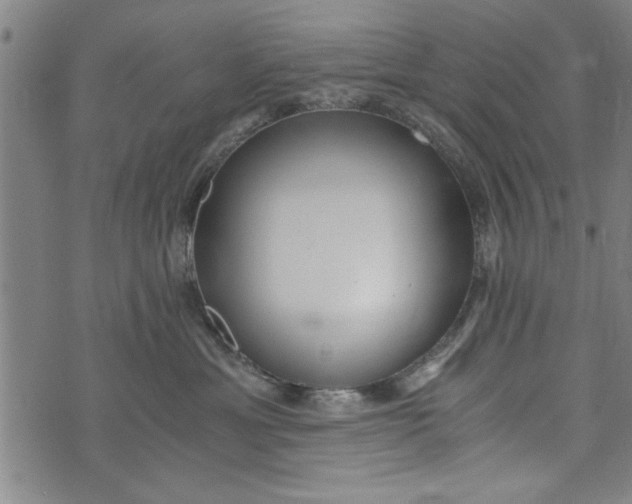 X0000073720429200608241236