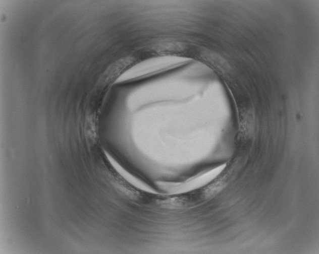 X0000073720430200608241236