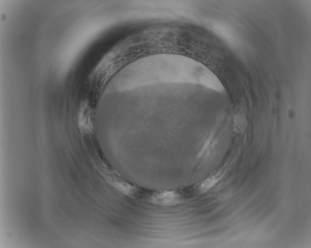 X0000073720431200608241236