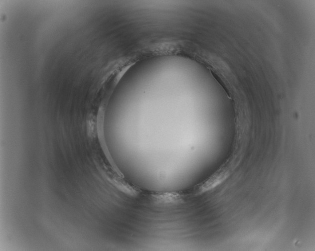 X0000073720432200608241236