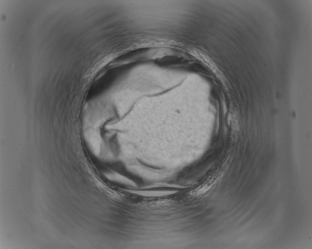 X0000073720433200608241236