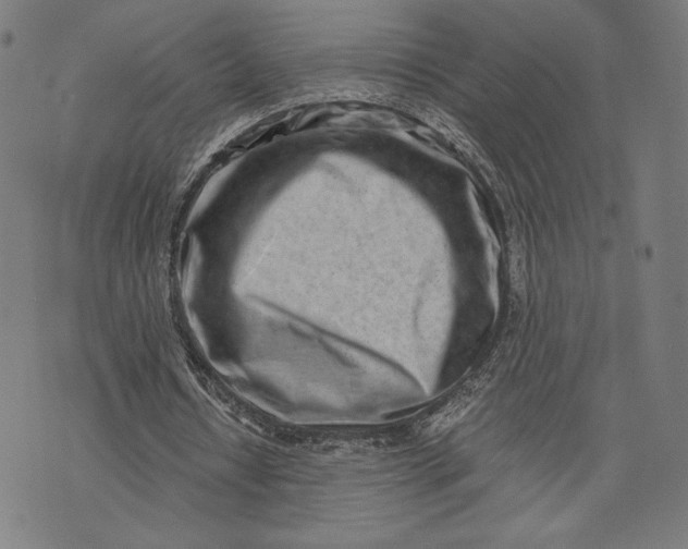 X0000073720434200608241236