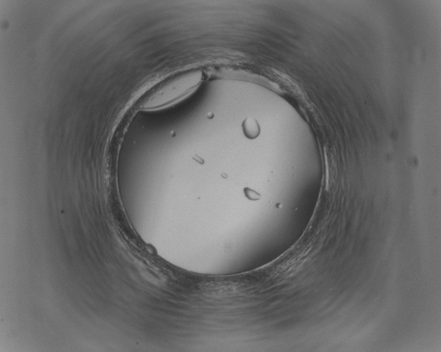 X0000073720435200608241236