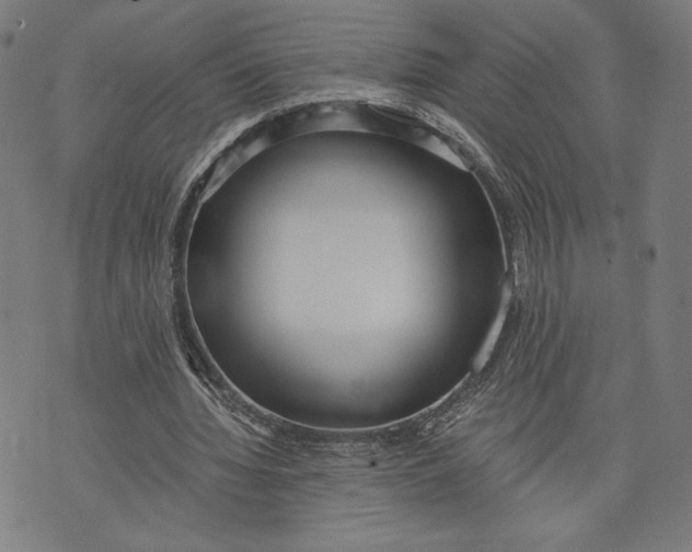 X0000073720436200608241236