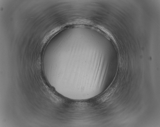 X0000073720437200608241236