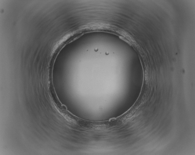 X0000073720438200608241236