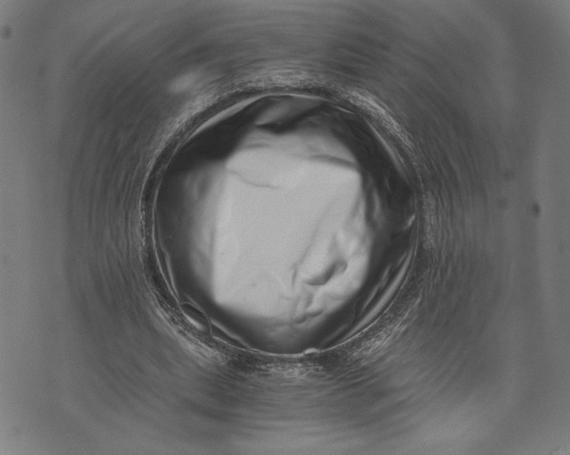 X0000073720439200608241236