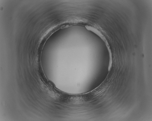 X0000073720440200608241236