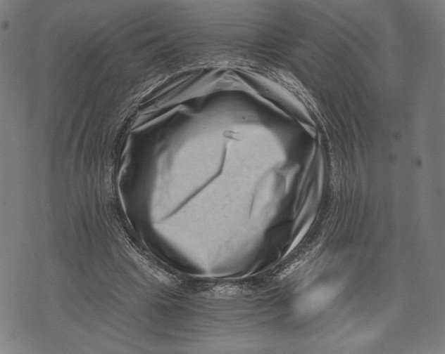 X0000073720441200608241236