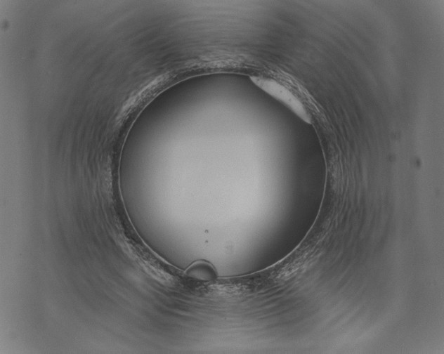 X0000073720442200608241236