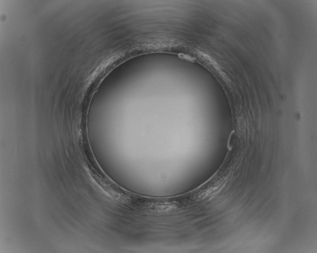 X0000073720443200608241236