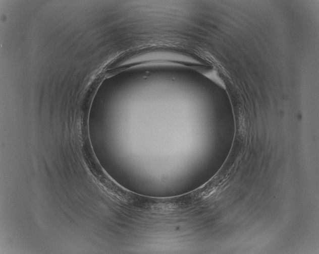 X0000073720444200608241236