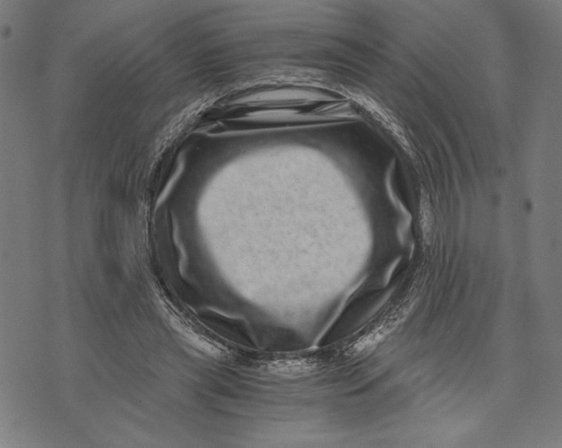 X0000073720445200608241236