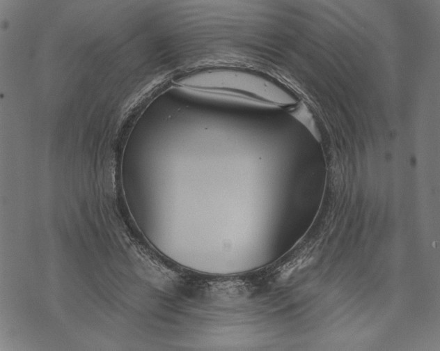 X0000073720446200608241236