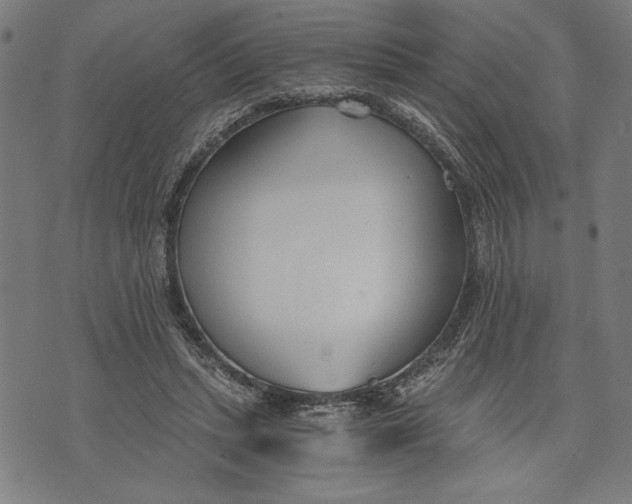 X0000073720447200608241236