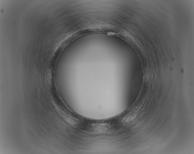 X0000073720448200608241236