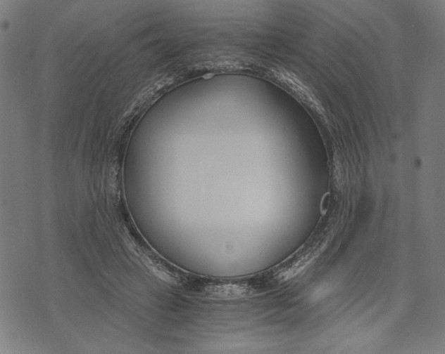 X0000073720449200608241236