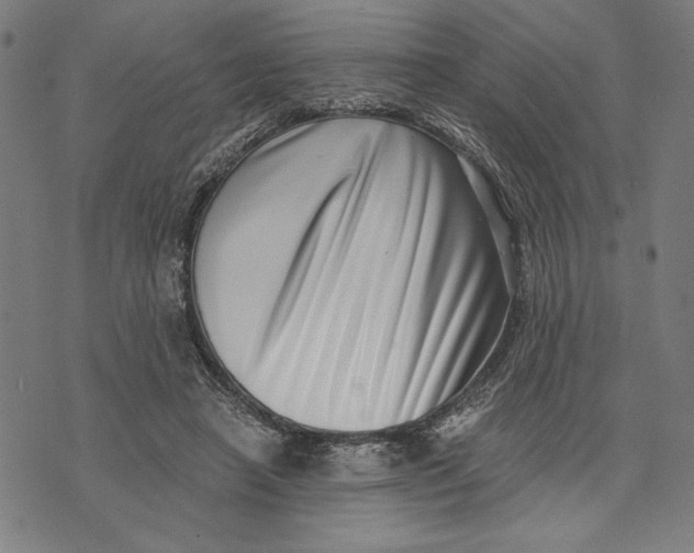 X0000073720450200608241236